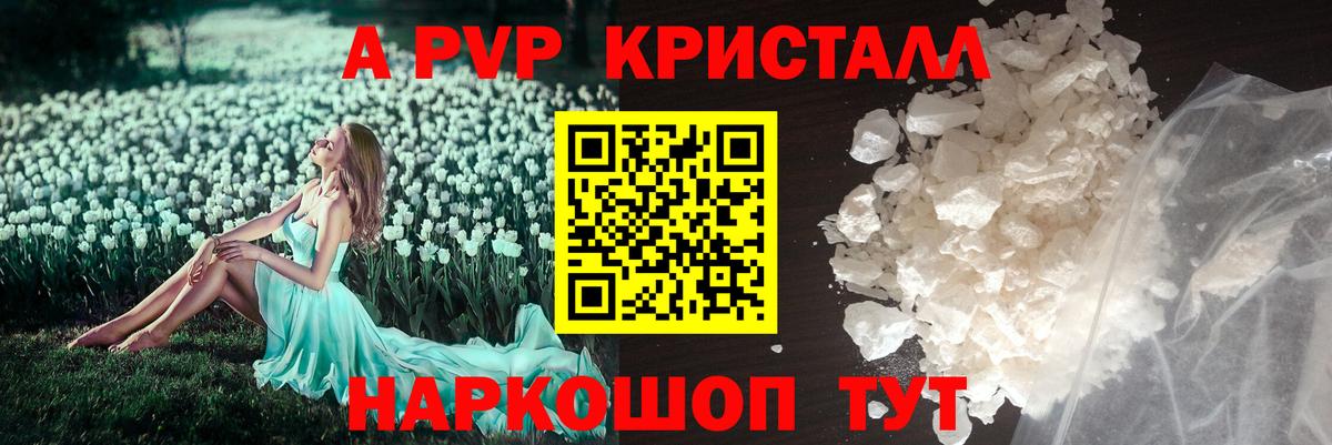 APVP крисы CK Ухта