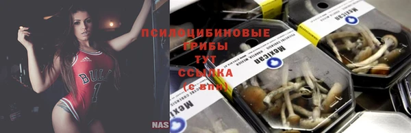 стаф Медвежьегорск