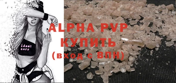 стаф Медвежьегорск
