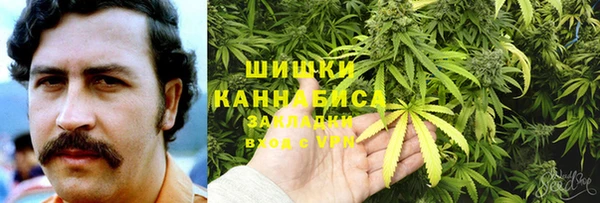 стаф Медвежьегорск