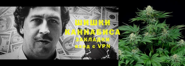 стаф Медвежьегорск