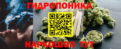ECSTASY Канаш