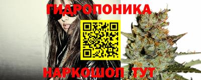 ECSTASY Канаш