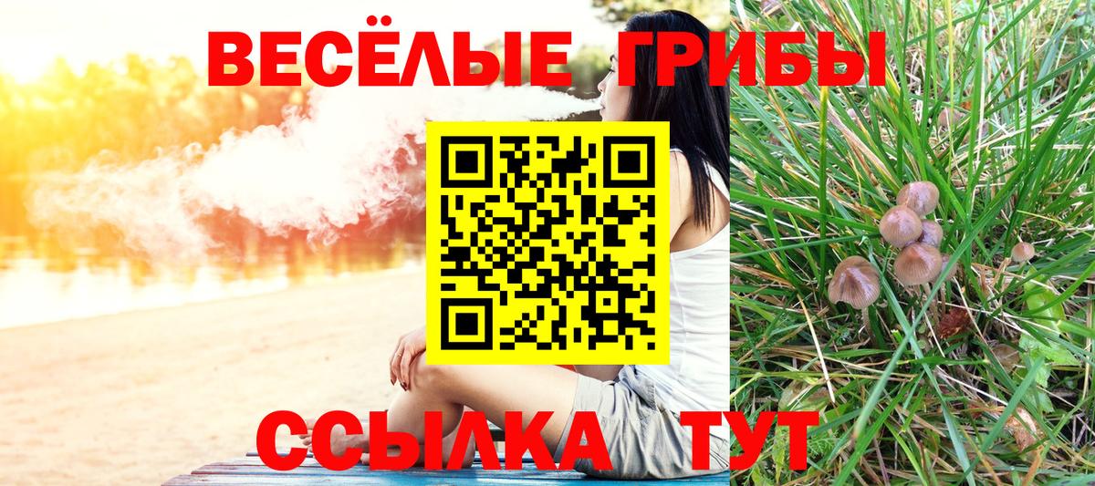 Галлюциногенные грибы прущие грибы Ухта